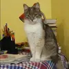 Отзыв от Вера Дружинина